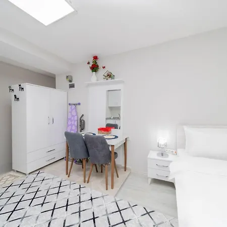 Furnished Tiny Studio Flat In Muratpasa Antalya